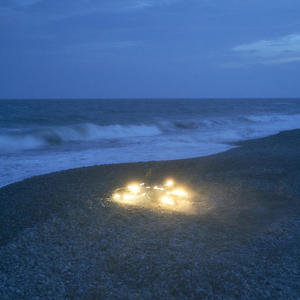 男裸体跳艳舞女又5其口交
