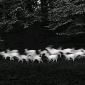 男裸体跳艳舞女又5其口交
